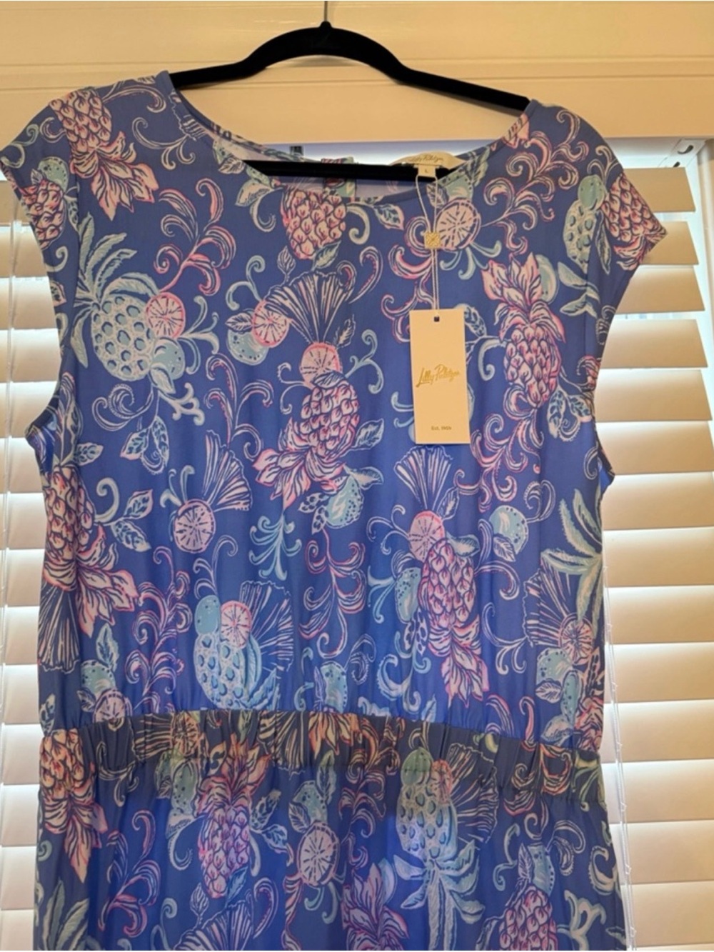 Lilly Pulitzer Blue Pineapple & Floral Sleeveless dress NWT